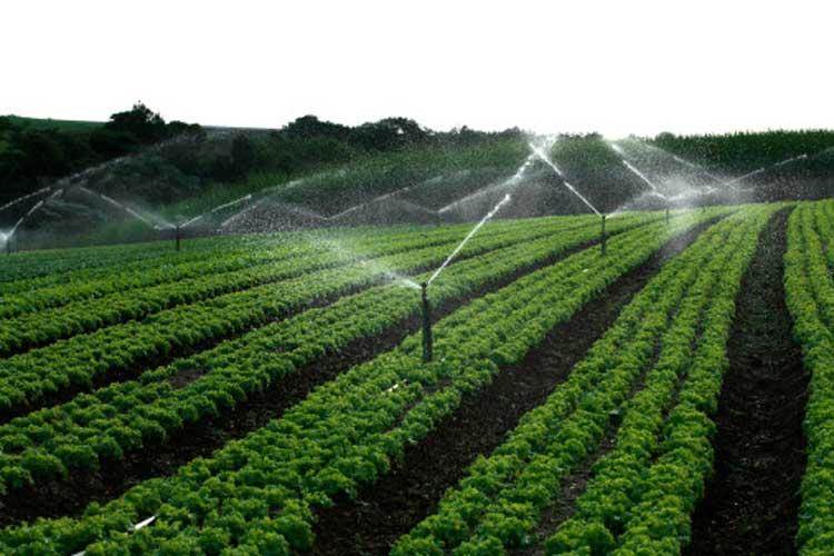 智能农业节水灌溉控制系统（上）