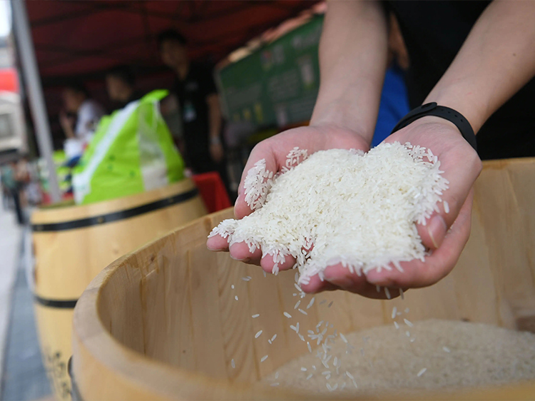 分享6种大米新吃法，把普通大米做成精美小吃，好吃又简单