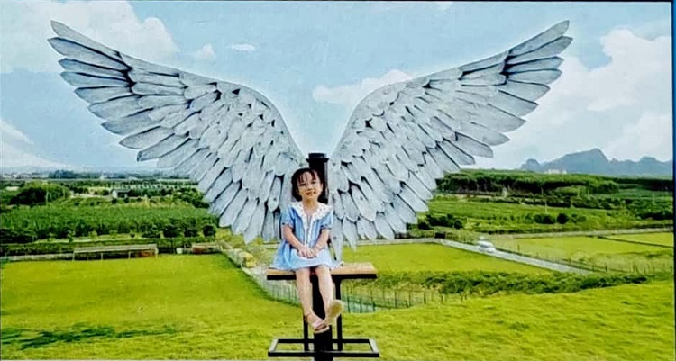 郑州天使之翼