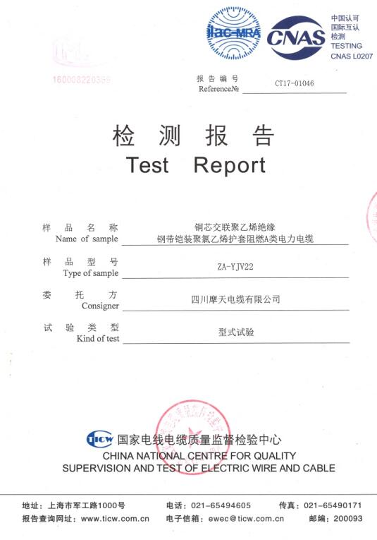 产品型式试验检测报告（三）