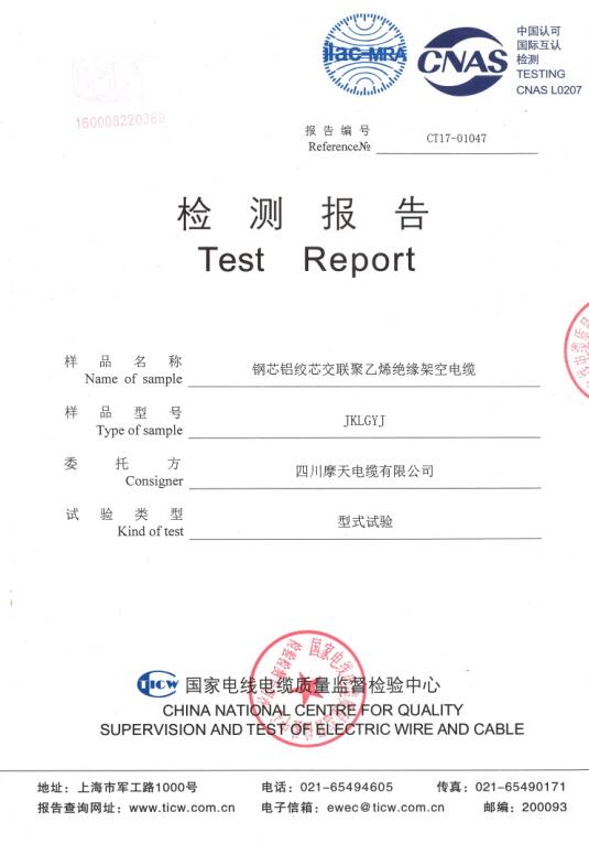 产品型式试验检测报告（七）