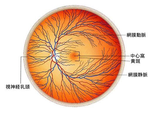 漯河眼底出血