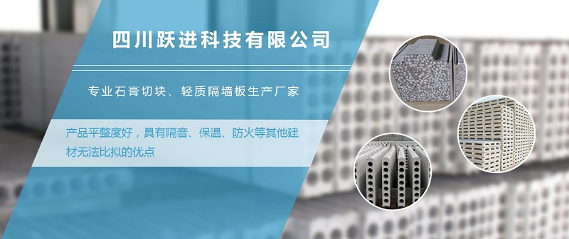 四川跃进科技有限公司